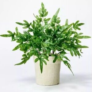 2 pack Faux Ribbon Ferns 13"H Potted Plant Threshold designed with Studio McGee